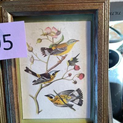 Lot of 5x7 Bird prints