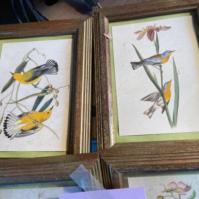 Lot of 5x7 Bird prints