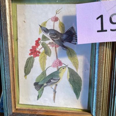 Lot of 5x7 Bird prints