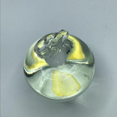 Clear Glass Apple Paperweight
