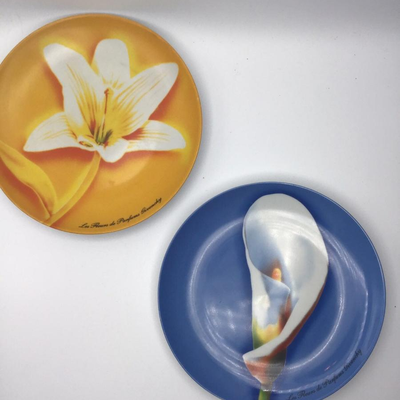 Givenchy Plates Set of 2