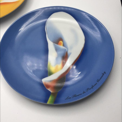 Givenchy Plates Set of 2