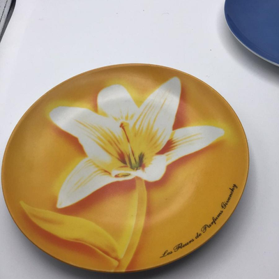 Givenchy Plates Set of 2