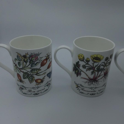 STAFFORDSHIRE Elizabethan Tea Cups Butterfly Floral