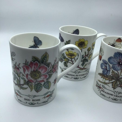 STAFFORDSHIRE Elizabethan Tea Cups Butterfly Floral