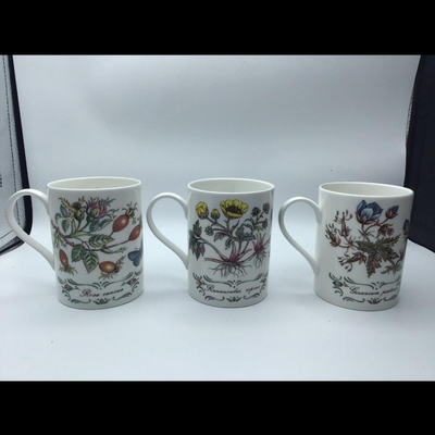 STAFFORDSHIRE Elizabethan Tea Cups Butterfly Floral