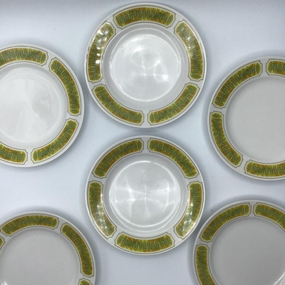 6 Franciscan White Stoneware Hawaii Pattern