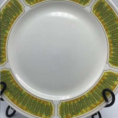 Franciscan "Hawaii" Dinner Plates