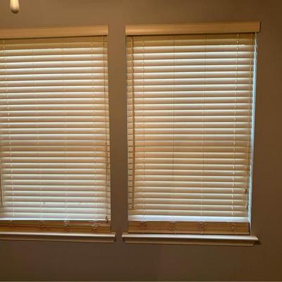 Levolor Birch Blinds