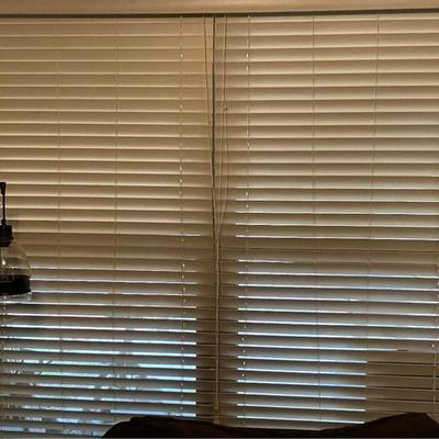 Levolor Birch Blinds