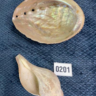 2 Large Shells