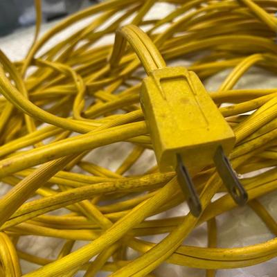 LONG extension Cord