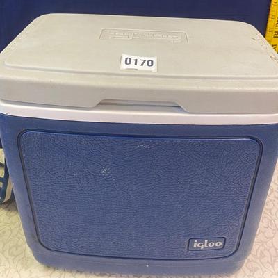 Igloo Cooler