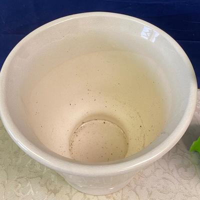 Planter and Plant Food