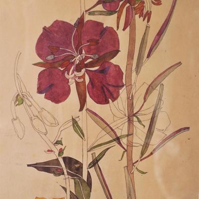 CHRLES RENNIE MACKINTOSH "WILLOW HERB" FRAMED PHOTO PRINT FRAMED