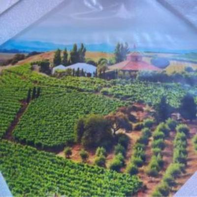 Pair Italy Vineyard Acrylic 16x20 Wall Hangings