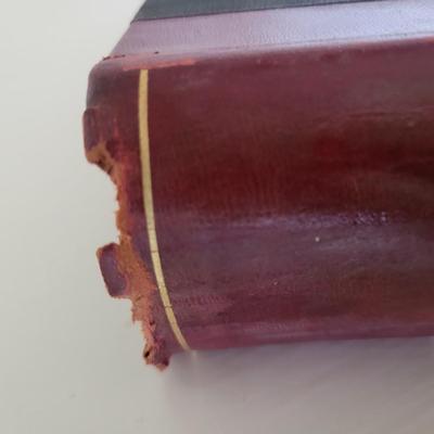 Antique Red Leather Bound Books (LR-DW)