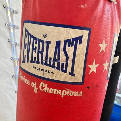 6458 Two Punching Bags Everlast/Century MMA
