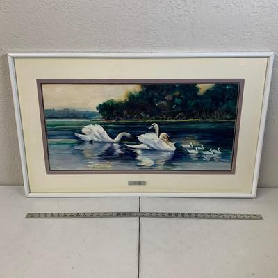 #196 Swan Lake Framed Print By Margaret Heywood