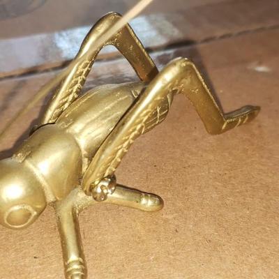 Brass Cricket