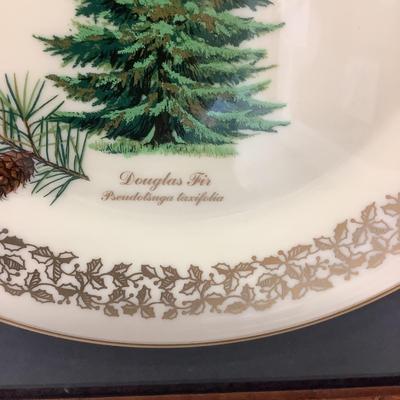 1688 Framed Lenox Commemorative "Douglas Fir" Plate