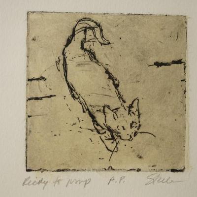 "READY TO JUMP" ENGRAVING OF CAT SIGNED STEELE. ARTIST PROOF  FRAMED.