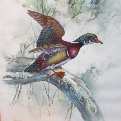 Shell and Duck Framed Art