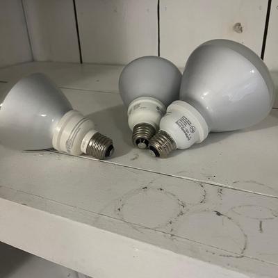 Light Bulbs (L-MG)