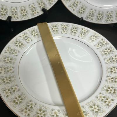 AMAZING LOT of  Fine China Made in Japan, Bliss 5206. Server Plates.