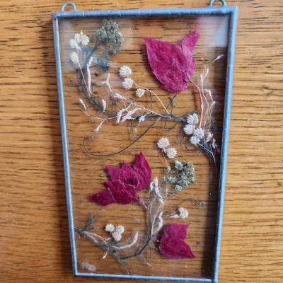 Glass Framed Pressed Flowers Display