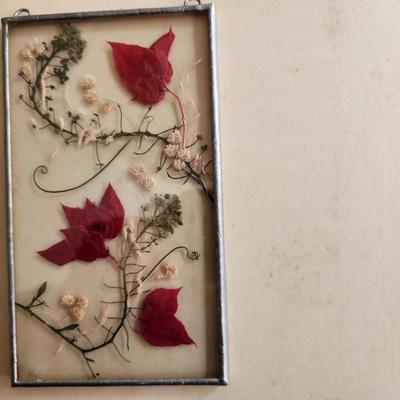 Glass Framed Pressed Flowers Display