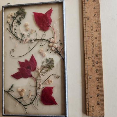 Glass Framed Pressed Flowers Display