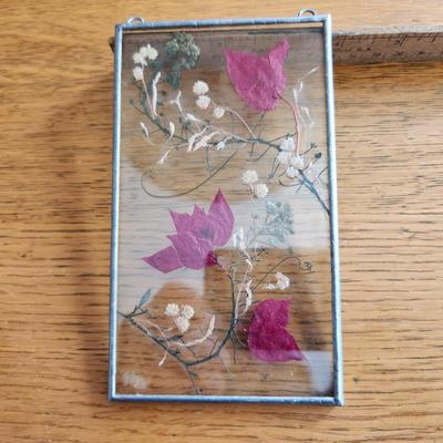 Glass Framed Pressed Flowers Display