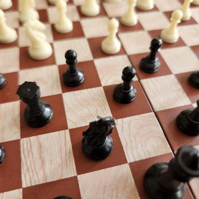 Travel Chess Set - #1