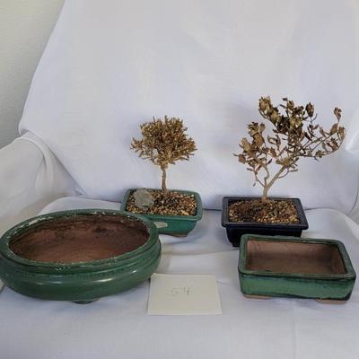 Bonsai planters