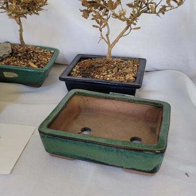 Bonsai planters