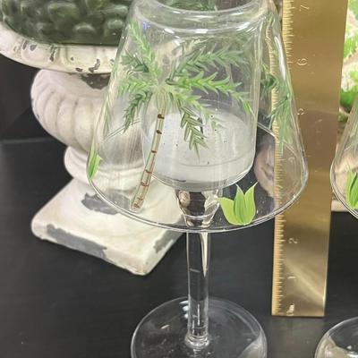 Amazing Decorative Plants and more