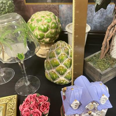 Amazing Decorative Plants and more