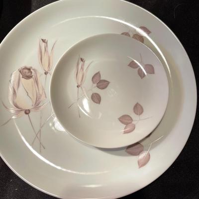 28 pc. Beautiful Johann havilland bavaria germany "cinnamon rose" china set