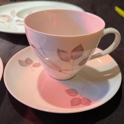 28 pc. Beautiful Johann havilland bavaria germany "cinnamon rose" china set