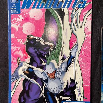 (2) Wildstorm Comics