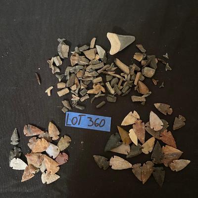 Vintage Shark Teeth & Arrowheads