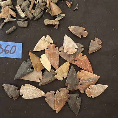 Vintage Shark Teeth & Arrowheads