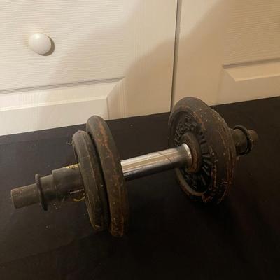 Weights/Dumbells