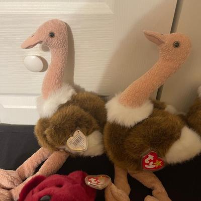 Beanie Buddys