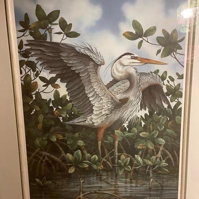 JW Harris Picture