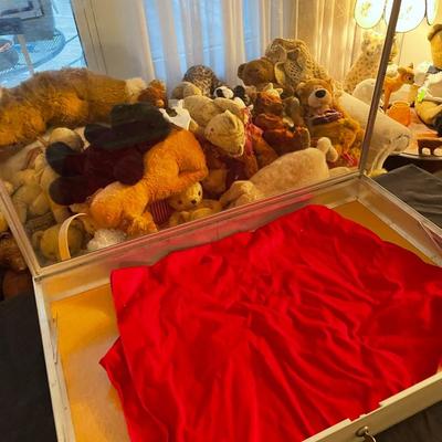 Vintage Display Case