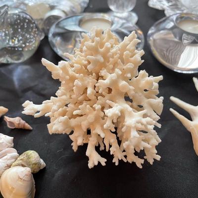 Vintage glassware, seashells and coral
