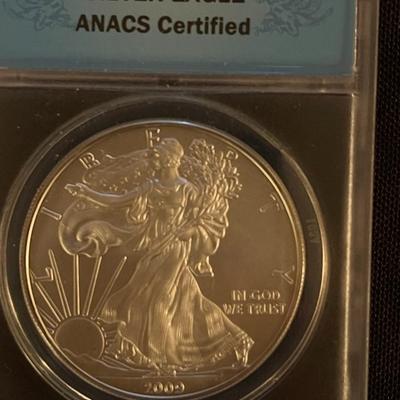 Silver Eagle