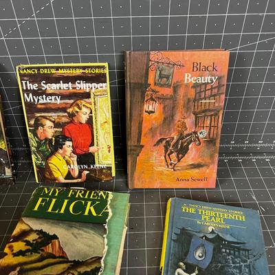 Young Adult Books, Vintage 